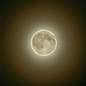 noobits's profile picture. Keep learning