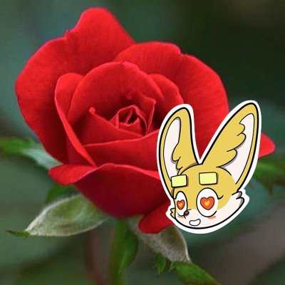 FBAdamSA's profile picture. Crypto miner researching DeFi protocols
Sahara #0228781