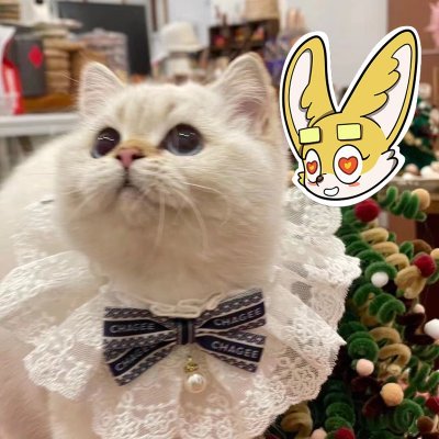 Sarahark28's profile picture. Crypto investor innovating blockchain tech
Sahara #0230396