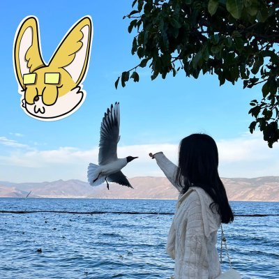 iedn26603's profile picture. DAO founder exploring decentralized futures