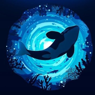 EtheriumW's profile picture. Lets goooo