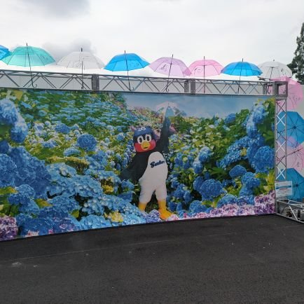 tantan020304's profile picture. 愛媛出身のヤクルトファン🍊これからもつば九郎推しです!
同郷の矢野選手にも神宮で活躍してほしい!