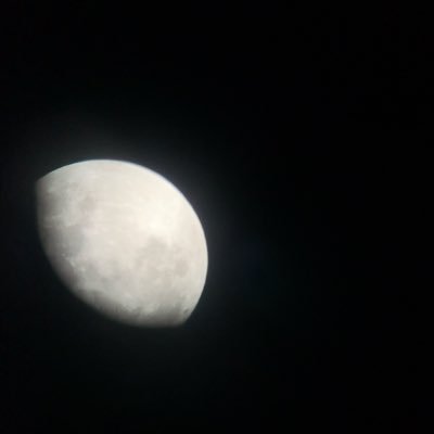 huwng_tran's profile picture. pretraining