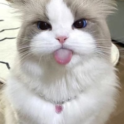 rujirukiiiiiiii's profile picture. 