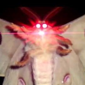 mothlightyear's profile picture. The lamp is flame to my path and all that stand in my way gets burnt