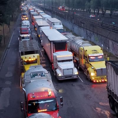 DavidAlfar53687's profile picture. 