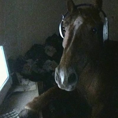 Baabuie's profile picture. 24 ☆ They/Them ☆ AMAB ☆ Bi ☆ Aspiring Shitposter