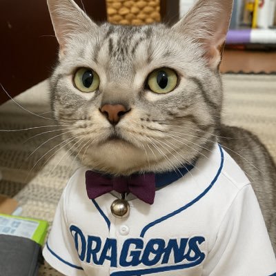 098okkun098's profile picture. 猫とdragons時々プロレスと犬とmofusand。無言フォロー失礼します🙇