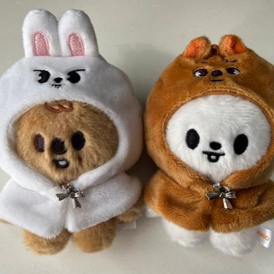 麗桜🐿🐰恋司さんのプロフィール画像