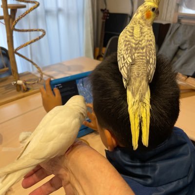 lM7nrALcam35045's profile picture. 