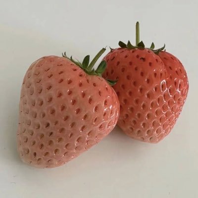 ハッピーカムカム