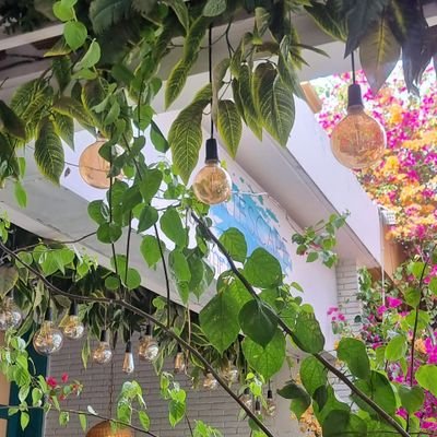 AbdulQayyu63301's profile picture. 