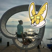 Vexg🐋🔆π² (@alice36434) 's Twitter Profile