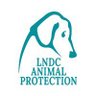 lndc_italia's profile picture. Da 75 anni salviamo, curiamo e difendiamo tutti gli animali 💙