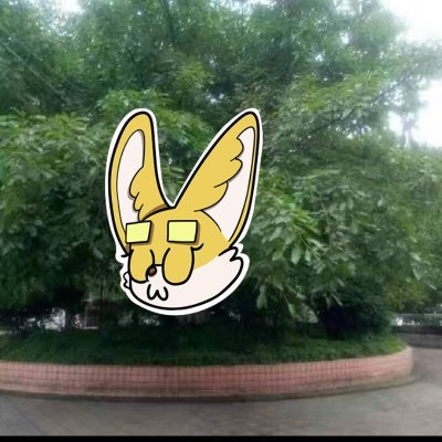 Lily56284's profile picture. Crypto investor curating NFT collections
Sahara #0272934