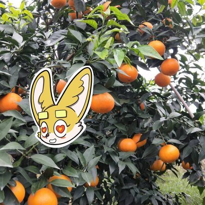 Levi675453's profile picture. Blockchain architect studying crypto economics
Sahara #0273037