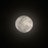 miichy1216's profile image