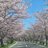 Miiru_RN0123
