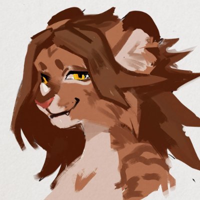 Coinn Profile