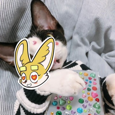 Samuel3644's profile picture. DeFi trader connecting ecosystems
Sahara #0273302