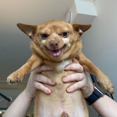 Godwin_04_'s profile picture.