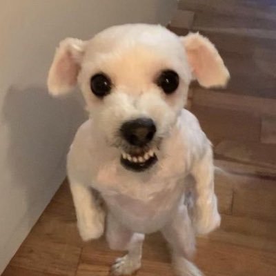 S2OTE's profile picture.
