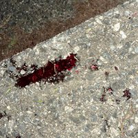 我很帅 (@onedining) 's Twitter Profile