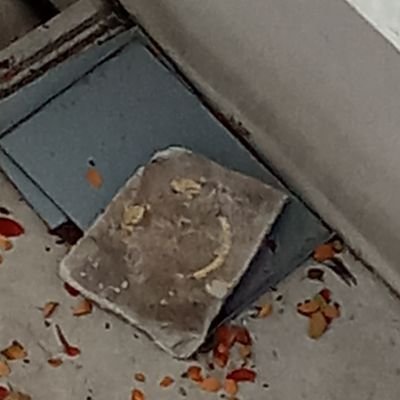 ear_npt's profile picture. ภีมไทยนะบอกก่อน😊🥰🤍❤️
นามปากกา วอนสังคมโปรดเข้าใจ
ช่วยซัพพอร์ตไรท์ตัวเล็กๆคนนี้ด้วยนะคะ