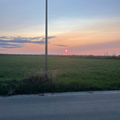 rwbdn's profile picture. Mangeur de fromage, footeux (Racing White Daring Molenbeek) et addict à la politique.