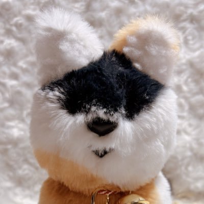 naotaro_x_x_'s profile picture. 