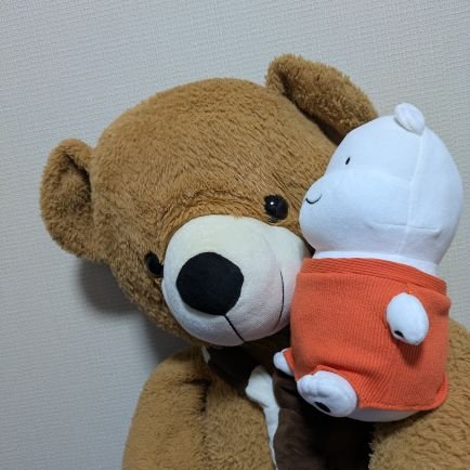 ぬいぐるみちゃん好き❤我が家のぬいちゃんずのママ/ぬいに助けて貰っている人類🧸くまぬいになりたいʕ•ᴥ•ʔ
精神疾患/ぬい/ふわふわのくまさん/ラルク🌈/リストラーズ🐿(加藤さん推し)/FGO/🀄ド初心者勉強中/雀魂///興味関心→地学/地質学/地震/防災/物理探査
🧸雑多なアカウントʕ•ᴥ•ʔ