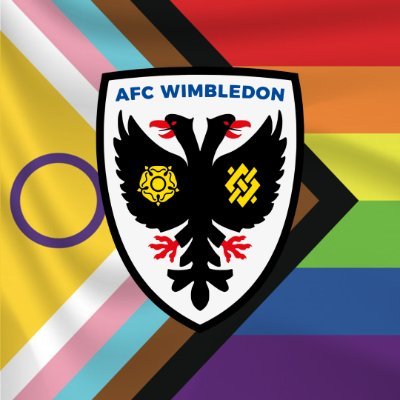 Competing in @FAWNL Southern Premier Division | Part of the @AFCWimbledon family