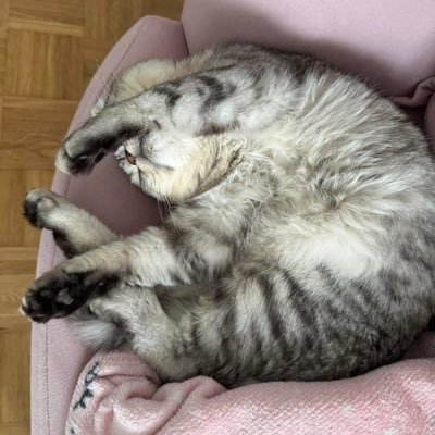 mennam0nya's profile picture. 