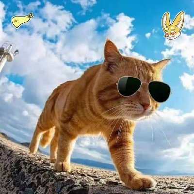 kele17888's profile picture. 加密老韭菜 | 2018入圈，从撸毛、打新到BTC生态。最高战绩撸过一张小彩票，分享所有项目教程、策略与经验，避免新手踩坑。DYOR，不做投资建议。🚀 #Crypto #Solana #BTC