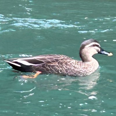 25m4t's profile picture. 高専生 インターネット音楽とVALORANTが好き