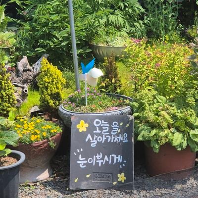 bagjinhye4623's profile picture. 