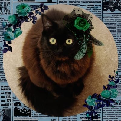 (G)ダマ助…『みつやま誠』さんのプロフィール画像