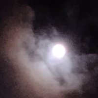cavus (@sunsp34k3r) 's Twitter Profile