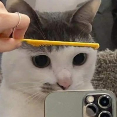 Gatedaooo's profile picture. You want me? https://t.co/ZuTp8fWyH1