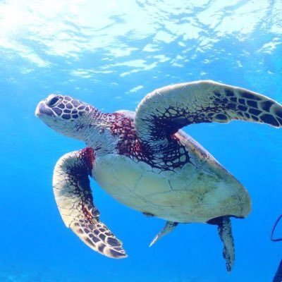 hl89_z's profile picture. 