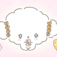 こむぎ☁aoco (@komugi_aoco) 's Twitter Profile