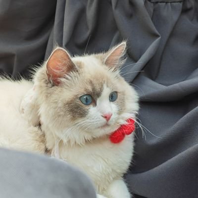 souketsu203's profile picture. 🙌🏻
ATLAS
PROXIE
PERSES