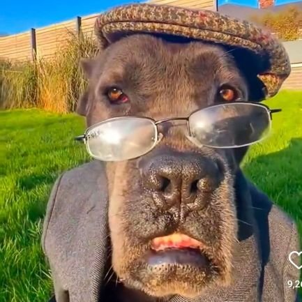 Fan70892's profile picture. 