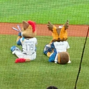 m2666030935895's profile picture. 00lineファイターズファン
#64田宮 #18山﨑#30郡司
エスコン観戦が趣味です⚾️