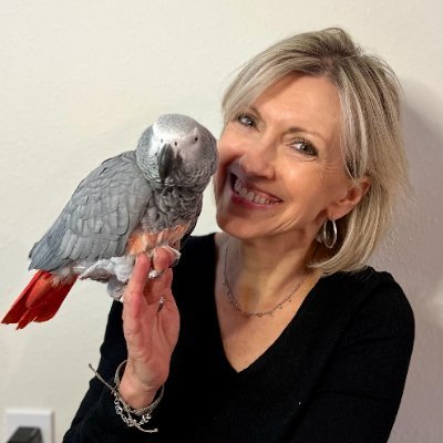 Co-Founder/CEO @thespotonagency, digital strategist, @HubSpot Solutions Partner, Dog Rescuer, BC Survivor,