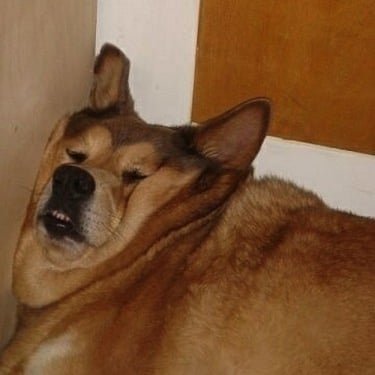 WXthLV's profile picture. 