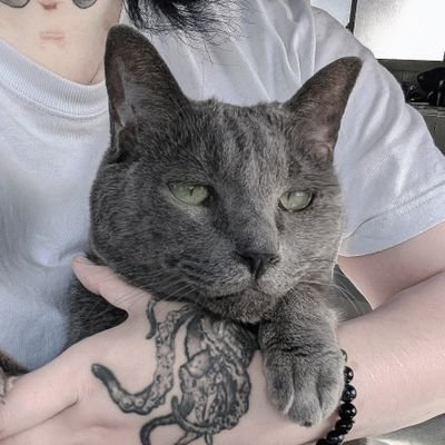 猫飼い歴約15年。元猫ボランティア経験者。実家▶人間から守る為、元野良猫の保護と里親。実家猫42匹から現在5匹。〜主と愛猫ロアン氏(12歳♀)の和み時間〜 デレッデレ(主)と、デレッデレ(愛猫)の日常を皆様にお届けしちゃいます🐈⬛💤その他、主の趣味により料理と観葉植物もちょこちょこ紹介。お楽しみに!!!