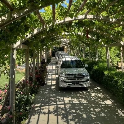 Abu_strawberry's profile picture. 