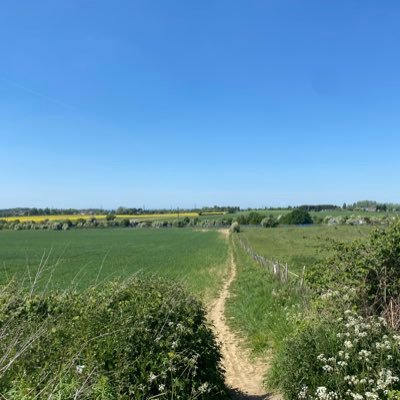 KazeLance's profile picture. Big tennis fan