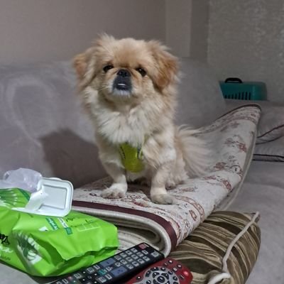 OktayAl54003315's profile picture. aşk adamı  kadınını herturlu mutlu eden  çiftlerde 3. olurum mutluluğunuz icin